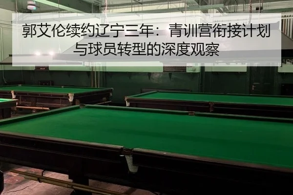 guo-ai-lun-xu-yue-liao-ning-san-nian-qing-xun-ying-xian-jie-ji-hua-yu-qiu-yuan-zhuan-xing-de-shen-du-guan-cha-2-950.jpg