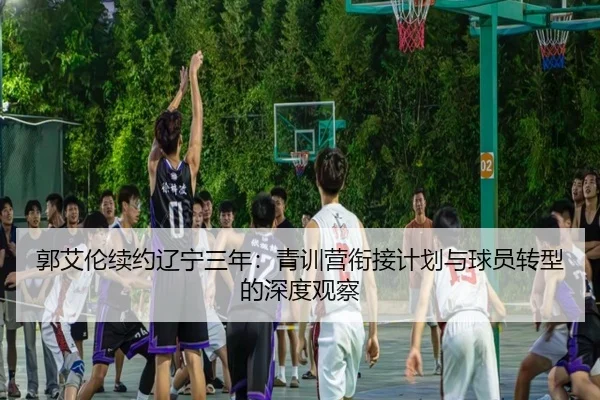 guo-ai-lun-xu-yue-liao-ning-san-nian-qing-xun-ying-xian-jie-ji-hua-yu-qiu-yuan-zhuan-xing-de-shen-du-guan-cha-3-674.jpg